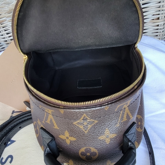 Louis Vuitton Palm Spring Mini Backpack - Picture 4 of 16